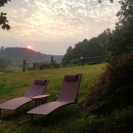 Agroturismo Iberreko Errota Muxika Esterno foto