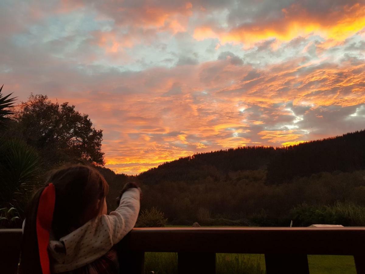Agroturismo Iberreko Errota Muxika Esterno foto