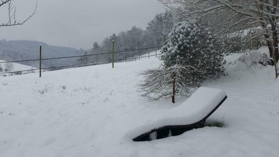 Agroturismo Iberreko Errota Muxika Esterno foto